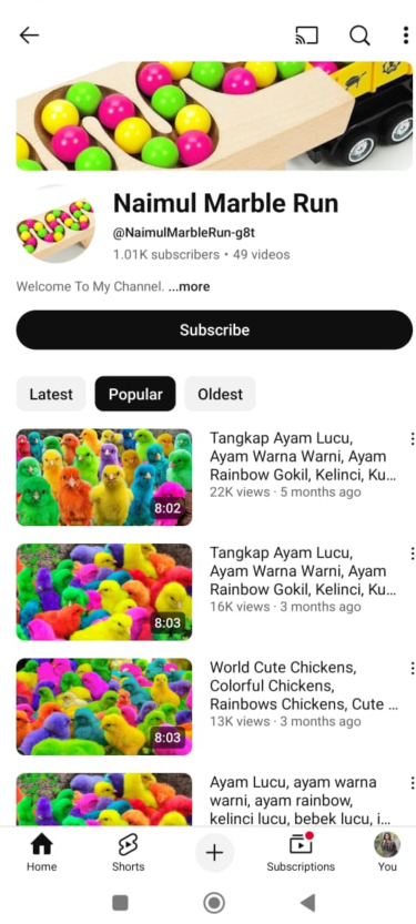 Monetized YouTube Channels