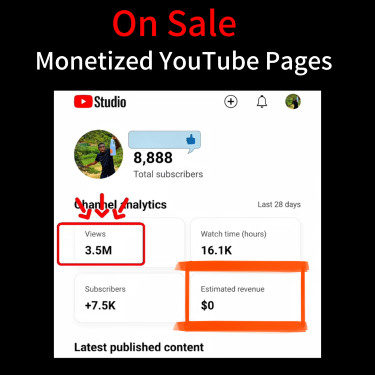 Monetized YouTube Channels