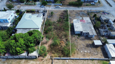 1/4 Acre Land For Sale In Albion, St. Thomas