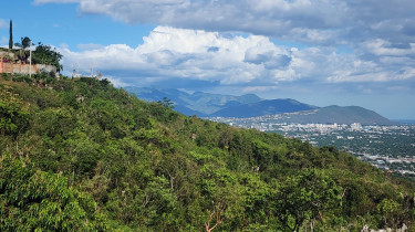 Land For Sale In Plantation Heights