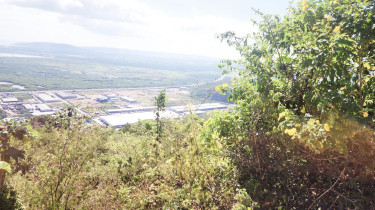 Land For Sale In Plantation Heights