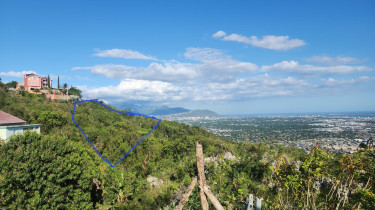 Land For Sale In Plantation Heights