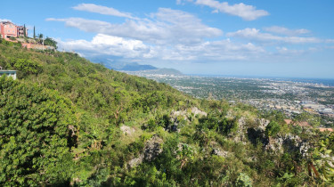 Land For Sale In Plantation Heights