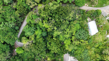 Sale Of Residential Lot In Shaw Park, St. Ann