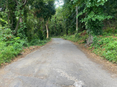 Sale Of Residential Lot In Shaw Park, St. Ann