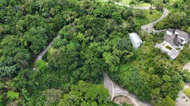 Sale Of Residential Lot In Shaw Park, St. Ann