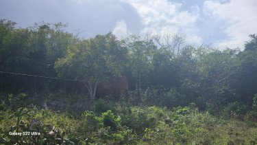 Farm With House For Sale