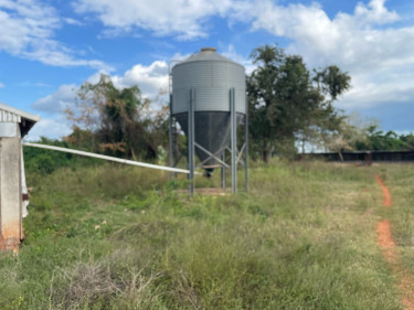 Farm With House For Sale