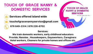 Domestic Services 