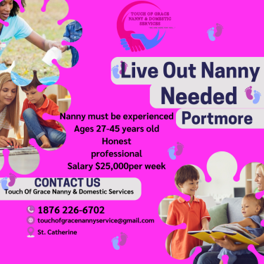 Live Out Nanny Needed