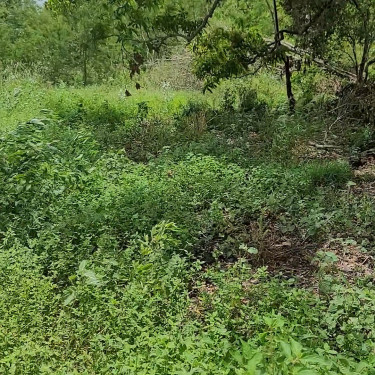 Half Acre With Unfinished Structure 
