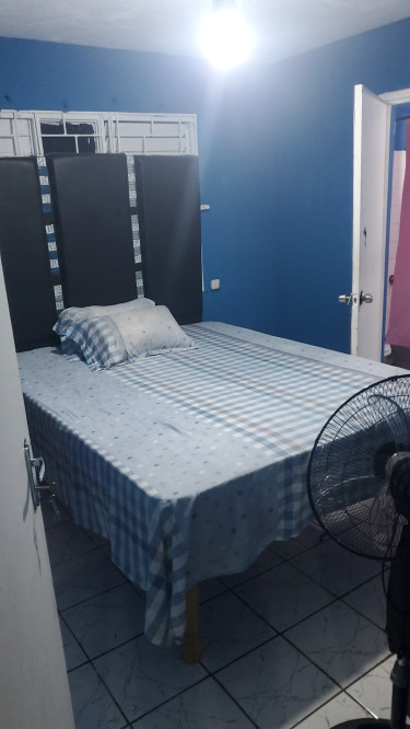 1 Bedroom 1 Bathroom Shared Apt