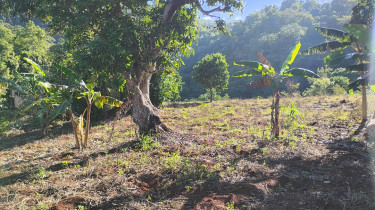 1 Acre Of Land