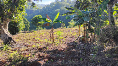 1 Acre Of Land