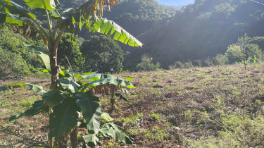 1 Acre Of Land