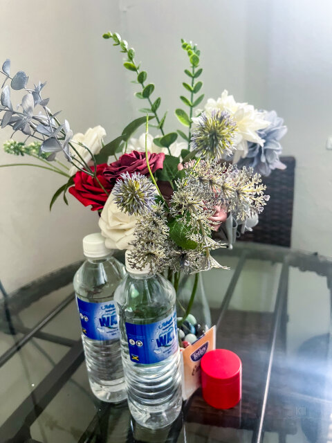Embassy Visits And Event Stays