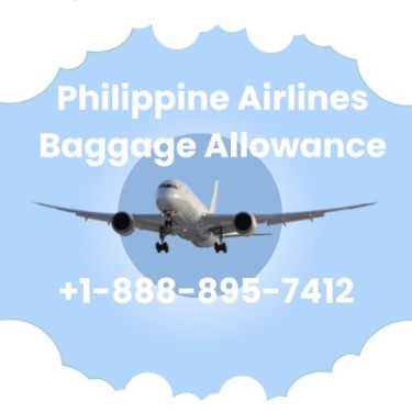 Easy Contact Philippine Airlines Baggage Allowance