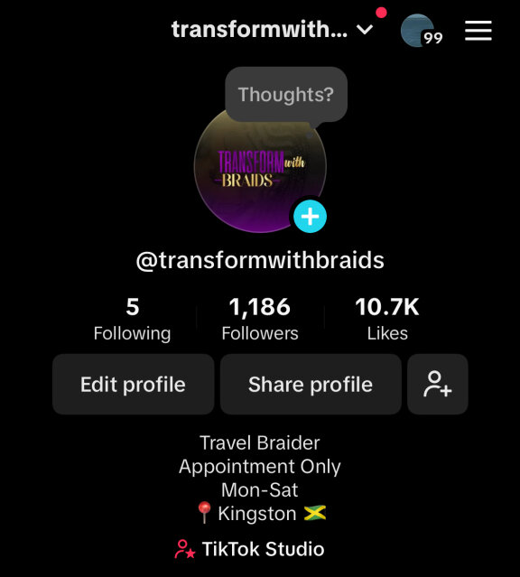 Travel Braider