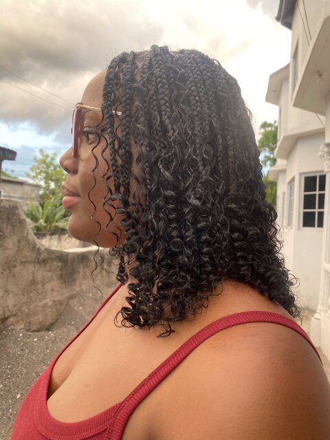 Travel Braider