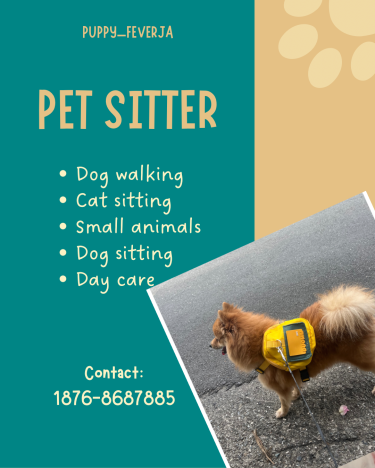 Pet Services 