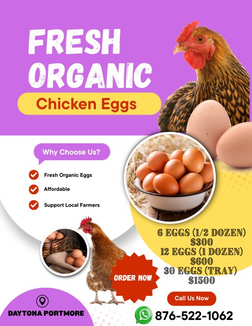 Fresh Local Eggs