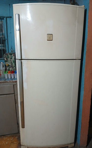 Spacious 6ft Sharp Deodorizer Brand Refrigerator