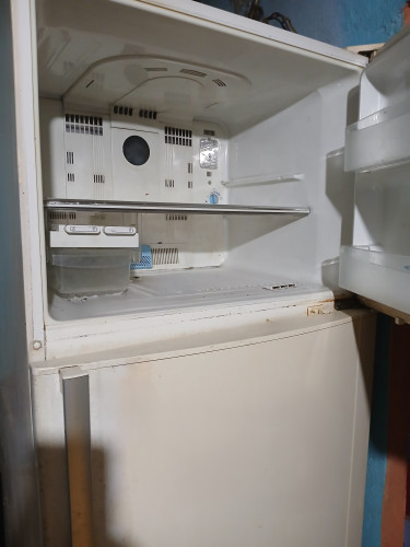 Spacious 6ft Sharp Deodorizer Brand Refrigerator