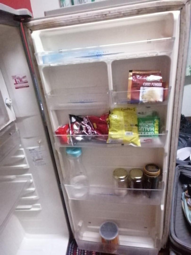 Spacious 6ft Sharp Deodorizer Brand Refrigerator