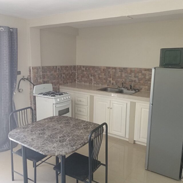 1 Bedroom Apt