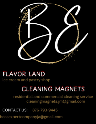 Cleaning Magnets