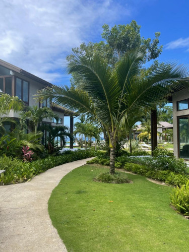 2 Bedroom  2 Bath Apt Resort Apartment Apartments Bessa, Oracabessa