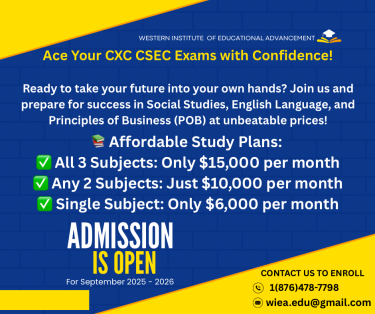 Western Institute Of Educational Advancement  Schools Montego Bay