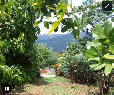 3 Acres Residential Lot Land Charlton, Ewerton