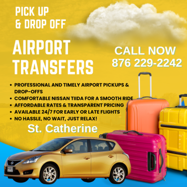Airport Transfers – Personal Ride To Airport Delivery Services 12000