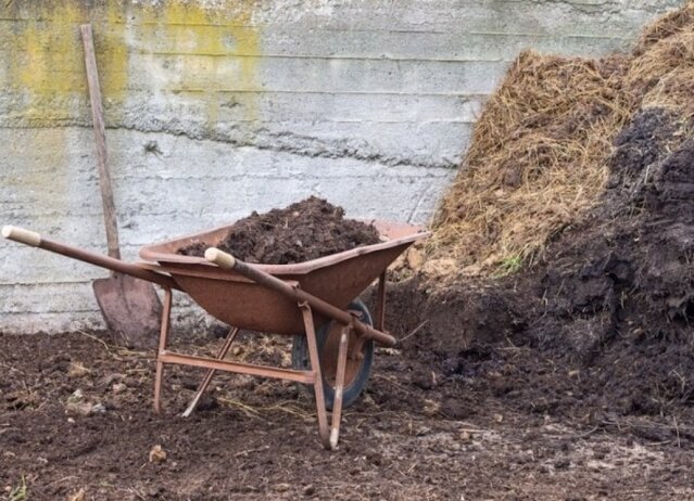 Manure Mixfor Sale Other Market Kingston