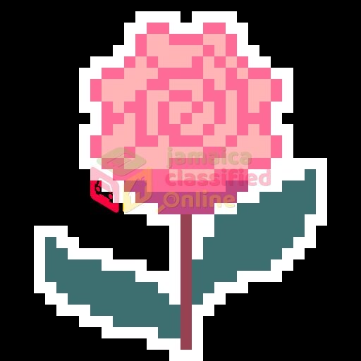 I'm A Full Time Digital Artist