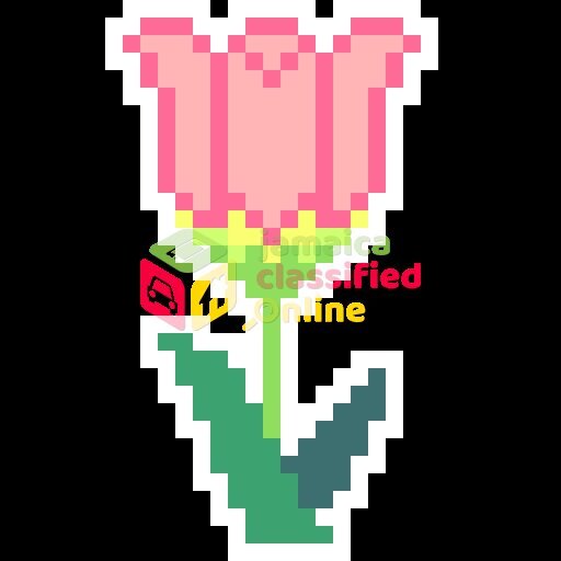 I'm A Full Time Digital Artist