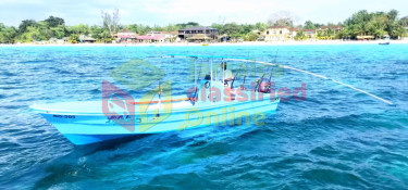 28 FT CUSTOM SPORT FISHING BOAT Boats NEGRIL