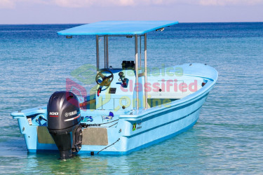 28 FT CUSTOM SPORT FISHING BOAT