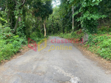 0.954 Acres Of Land Land Shaw Park