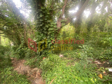 0.954 Acres Of Land