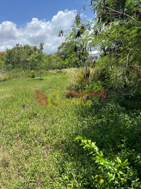 NORTH COAST HIGHWAY 5 ACRES ACROSS CATALONIA HOTEL