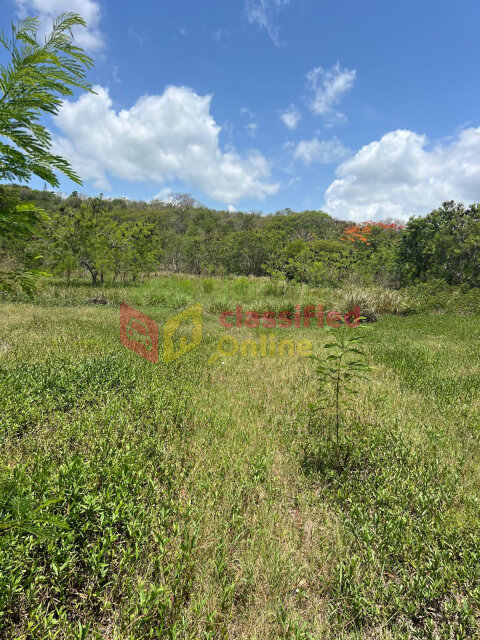 NORTH COAST HIGHWAY 5 ACRES ACROSS CATALONIA HOTEL