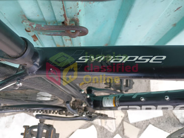 Negotiable: Cannonball Synapse Road Bike