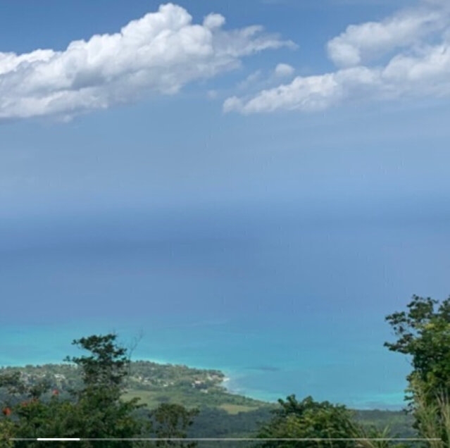 13 Acres Of Land In Bluefields Westmoreland Land Bluefields