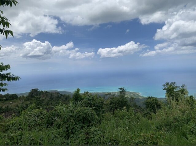 13 Acres Of Land In Bluefields Westmoreland