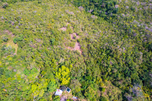 John Dandy, Four Paths: Just Over 10 Acres Of Land