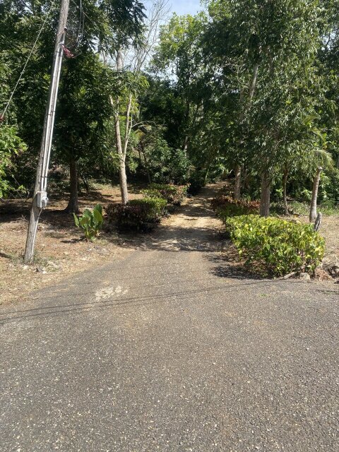 John Dandy, Four Paths: Just Over 10 Acres Of Land