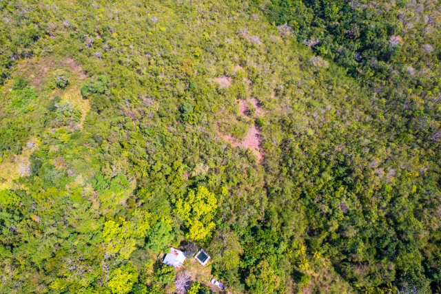 John Dandy, Four Paths: Just Over 10 Acres Of Land