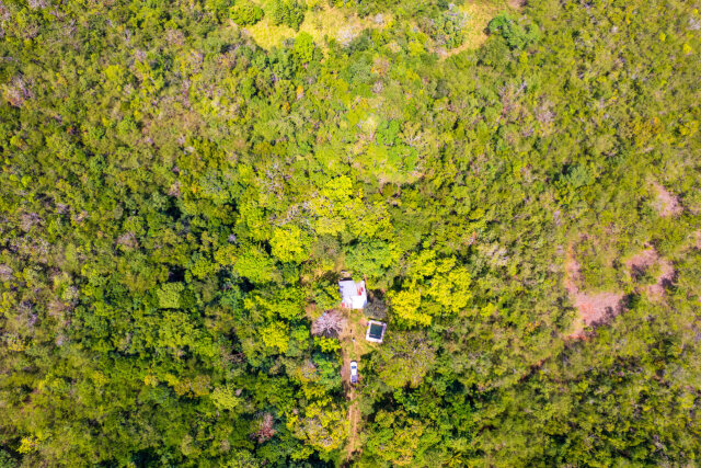 John Dandy, Four Paths: Just Over 10 Acres Of Land